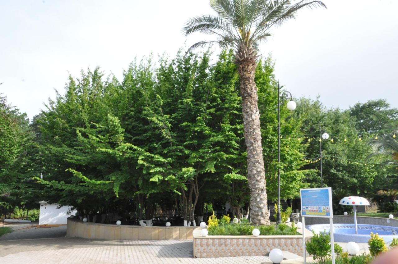 Vilesh Palace Hotel Masallı Exteriör bild