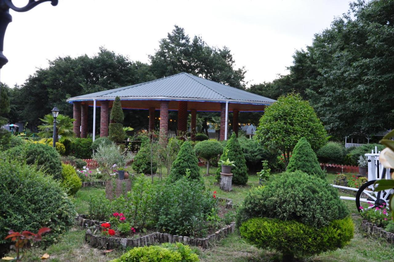 Vilesh Palace Hotel Masallı Exteriör bild